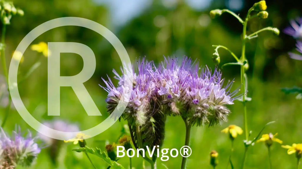 BonVigo® ist als Marke eingetragen