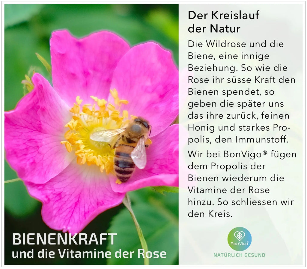 BIENENKRAFT - Propolis-Extrakt und Wildrose