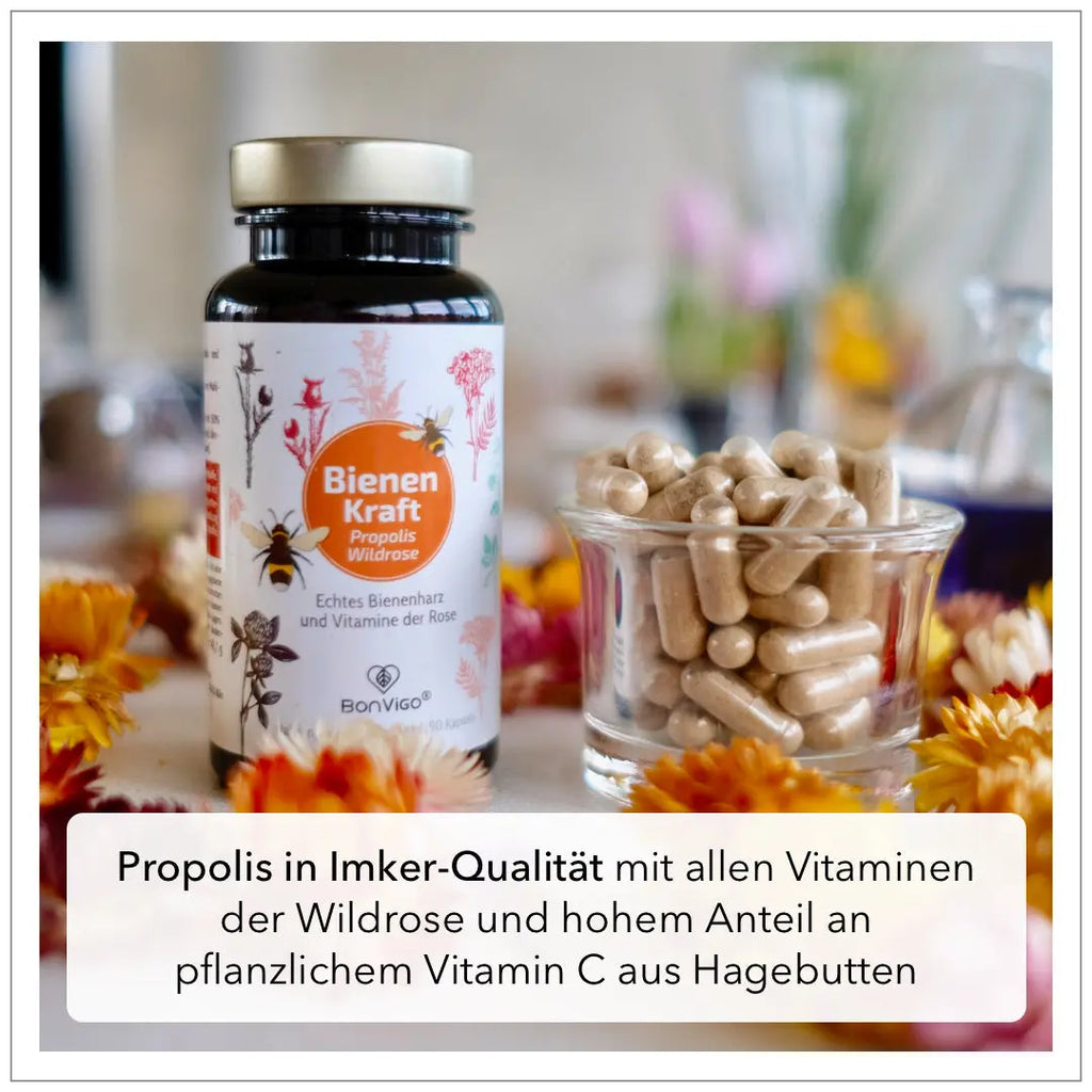 Bienenkraft Propolis Kapseln plus Vitamine der Rose - BonVigo® Natürlich Gesund