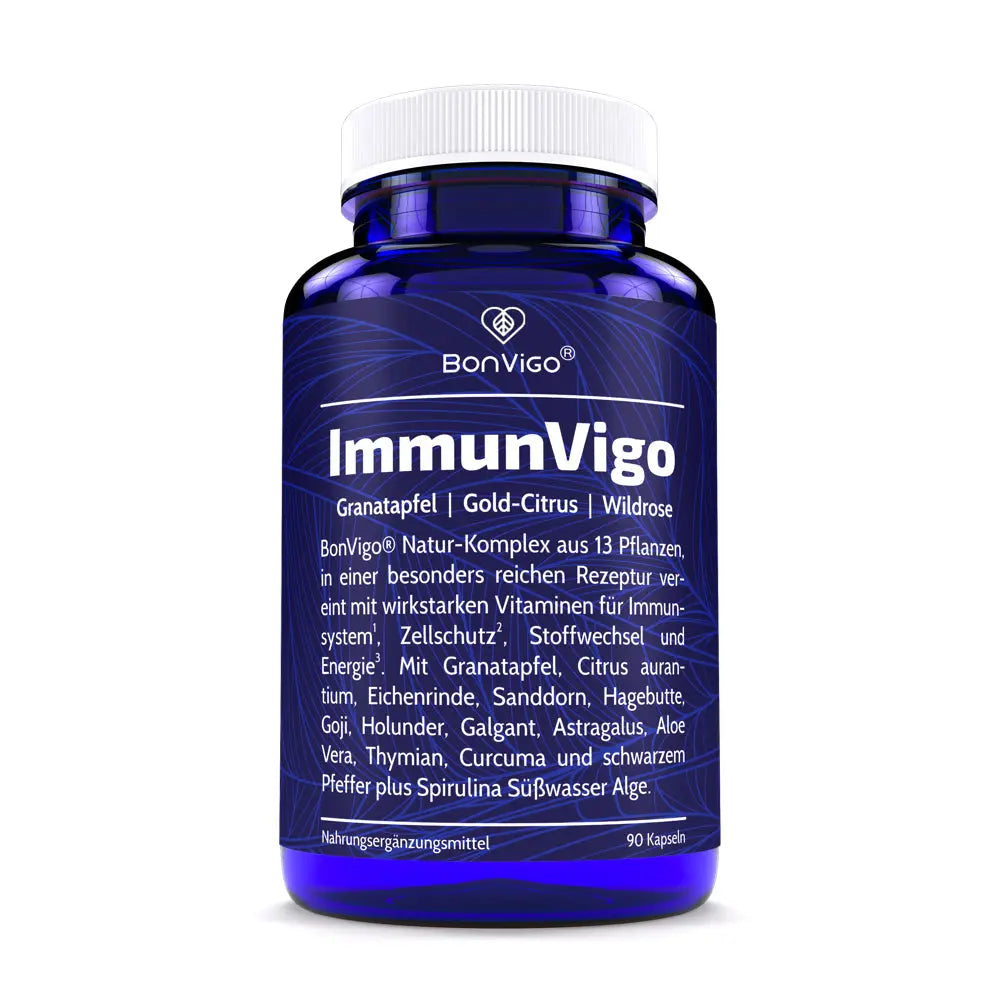 ImmunVigo 13-Pflanzen-Konzentrat mit Immun Booster 1 Dose 90 Kapseln