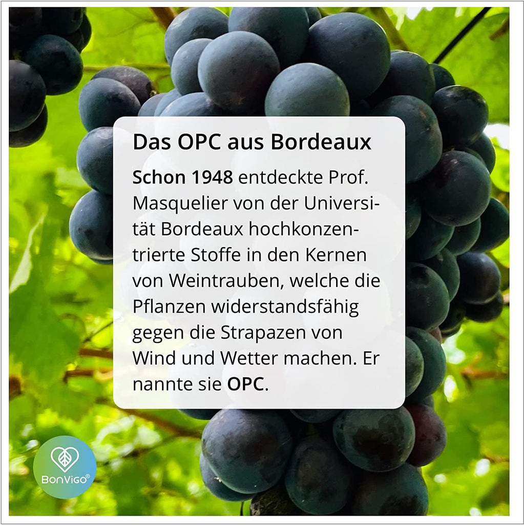 OPC Zellschutz maximal - Traubenkerne, Pinien, Cranberry - BonVigo® Natürlich Gesund