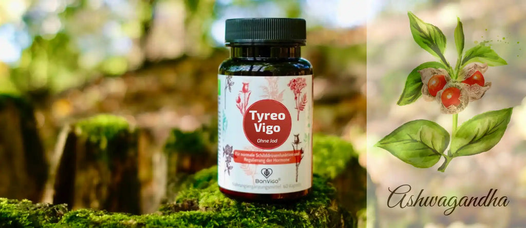 ThyreoVigo Kapseln in der Natur. Mit Ashwagandha und Selen für normale Schilddrüse