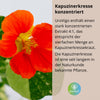 UroVigo Frauen - Bekannte Pflanzen-Formel aus Kapuzinerkresse, Meerrettich, Cranberry