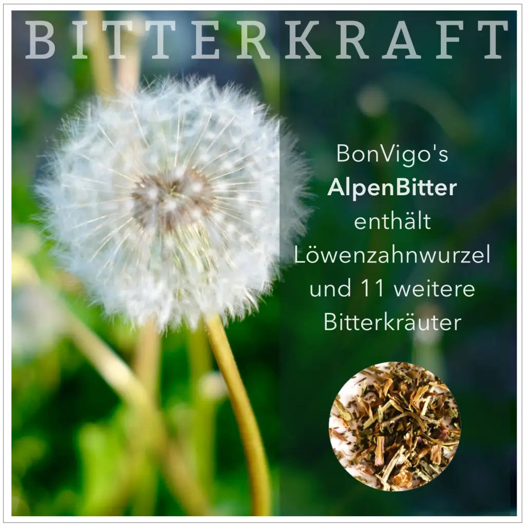 AlpenBitter 12 Kräuter Leber-Formel mit Enzian, Wermuth und Cholin